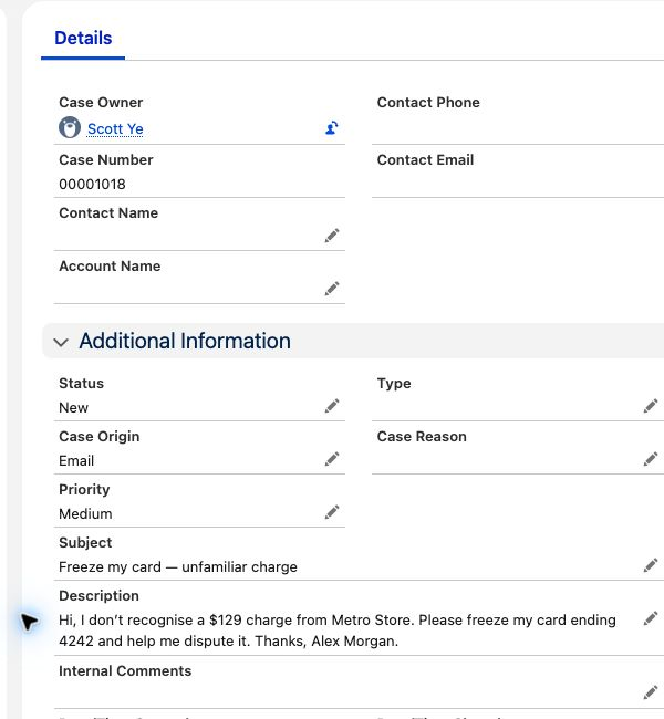 Native Salesforce Case details for Alex’s fictional request.