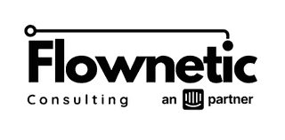Flownetic Consulting